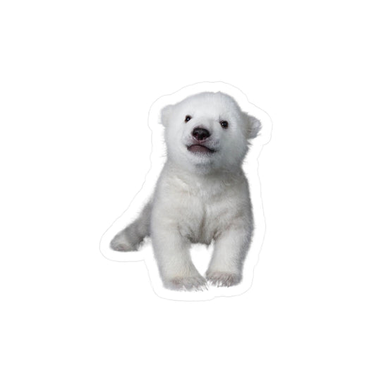 beary cute sticker