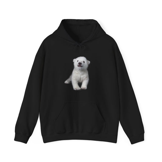 beary cute hoodie