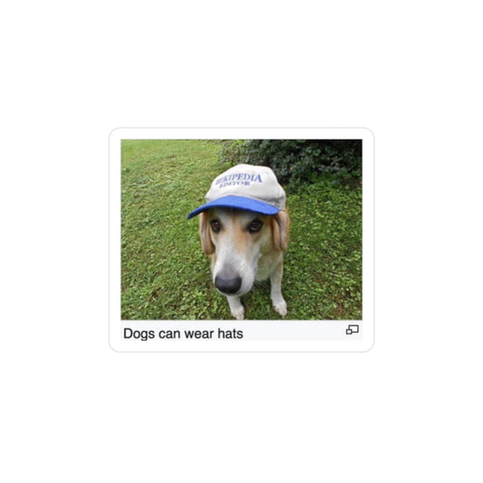 dogs can wear hats sticker